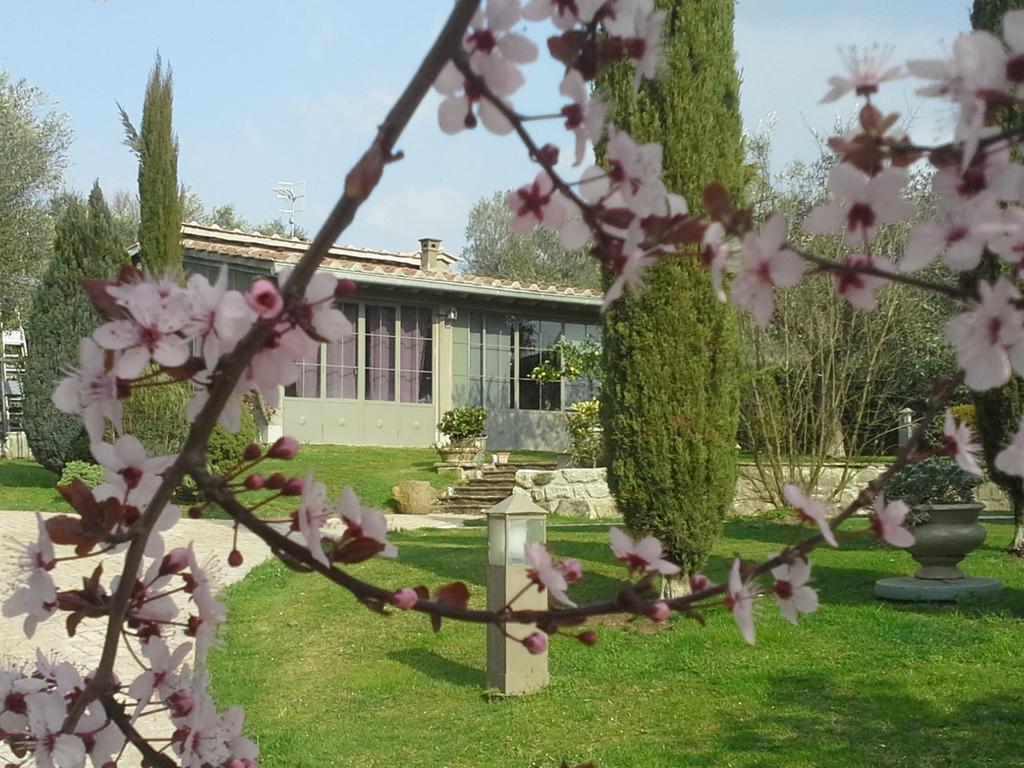 Residenza Teodorico Re B&B Viterbo Zewnętrze zdjęcie