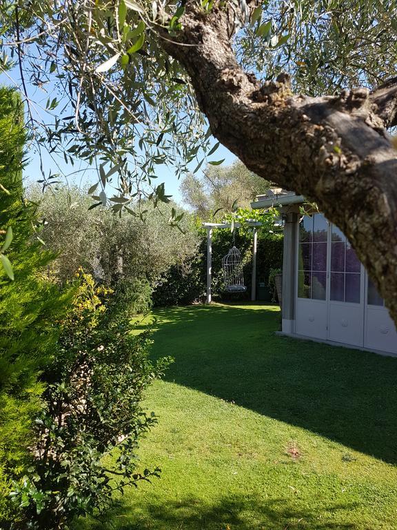 Residenza Teodorico Re B&B Viterbo Zewnętrze zdjęcie